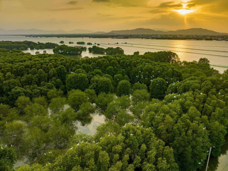 Trốn nắng hè ở Cồn Chim Quy Nhơn, nơi được mệnh danh lá phổi xanh của phố biển, Khám Phá
