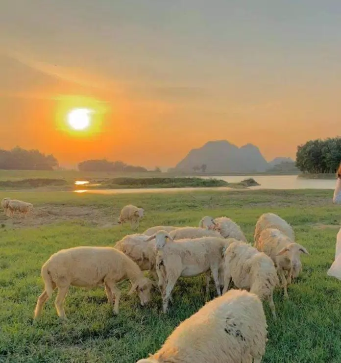 Những địa điểm du lịch Ninh Bình hấp dẫn mà bạn nhất định phải ghé qua