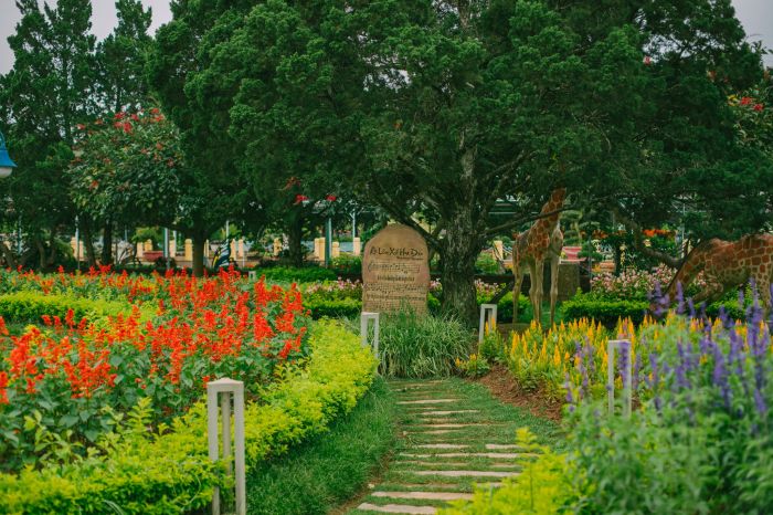 vườn hoa thành phố đà lạt, khám phá, trải nghiệm, vườn hoa thành phố đà lạt - thiên đường cổ tích đẹp mê hồn 