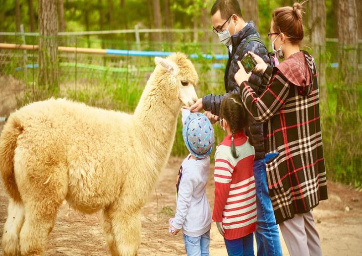 nghỉ dưỡng, review vườn thú zoodoo – khu tham quan cực hấp dẫn ở đà lạt
