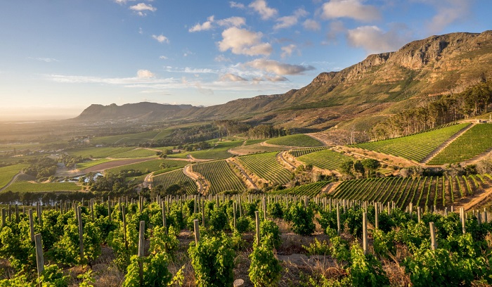 thung lũng constantia, khám phá, trải nghiệm, nếm thử rượu vang thơm ngon tại thung lũng constantia nam phi