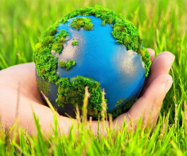 top 7 bài văn chứng minh bảo vệ môi trường là bảo vệ cuộc sống của chúng ta (lớp 7) hay nhất