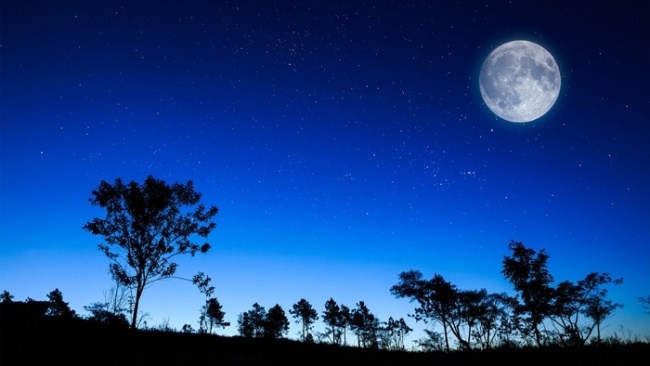 top 10 dàn ý bài văn tả một đêm trăng đẹp (lớp 5) chi tiết nhất