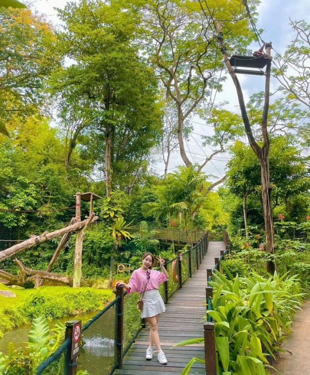 sở thú singapore, khám phá, trải nghiệm, đến ngay sở thú singapore khám phá thiên đường của các loài động vật
