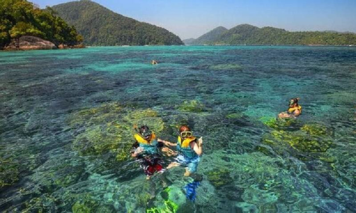 khám phá, trải nghiệm, review bãi dứa quy nhơn – bãi san hô tự nhiên đẹp nhất tại nhơn lý