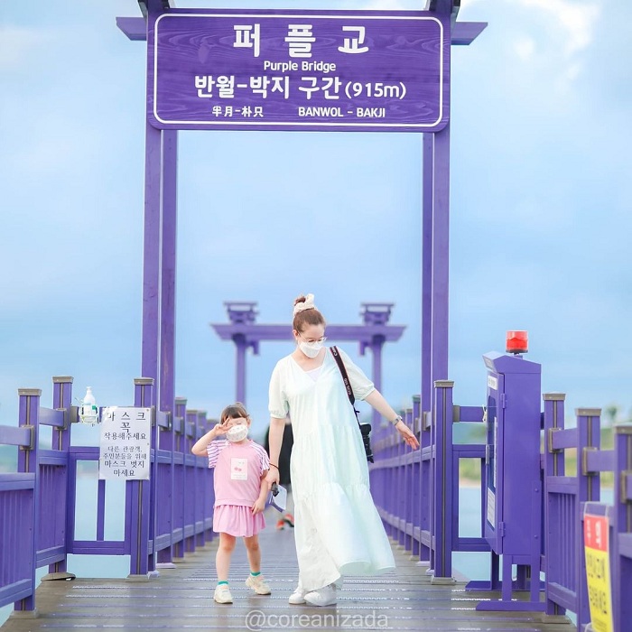 du lịch seoul, tour hàn quốc, visa hàn quốc, cụm đảo banwol và bakji, có màu tím lạ lùng ở hàn quốc