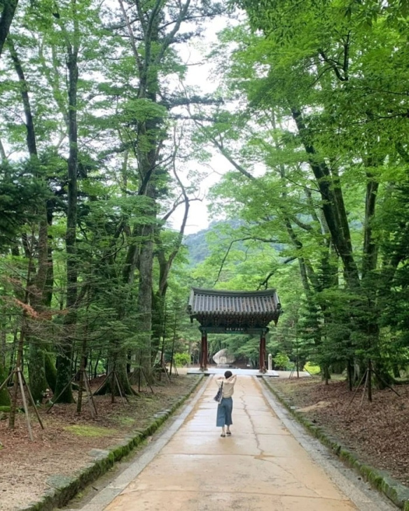 chùa haeinsa, khám phá, trải nghiệm, chùa haeinsa: nơi lưu giữ tam tạng kinh điển hàn quốc