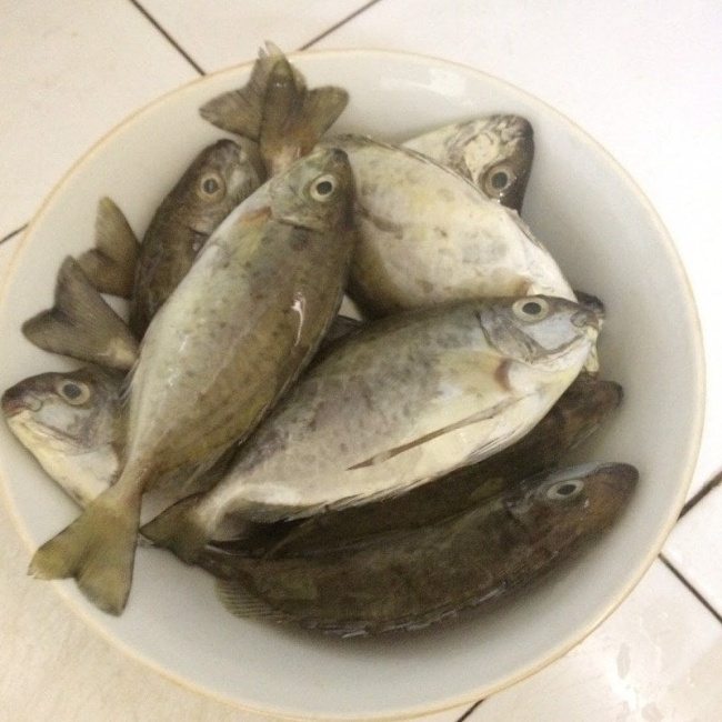 học cách nấu canh cá kình nấu ngót thơm ngon, đưa miệng