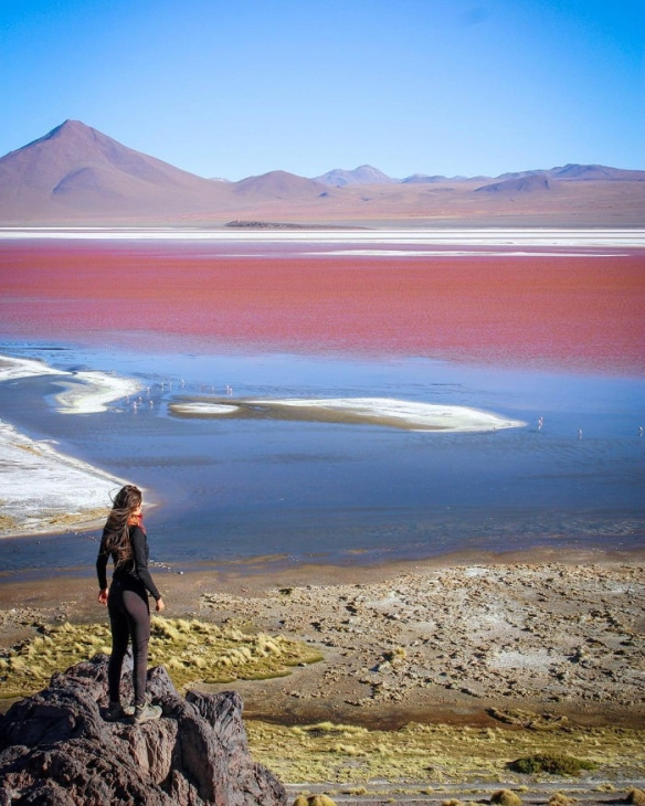 hồ muối laguna colorada, khám phá, trải nghiệm, chiêm ngưỡng hồ muối laguna colorada màu hồng đẹp tựa cổ tích ở bolivia