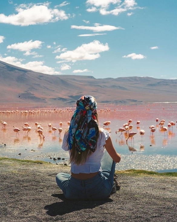 hồ muối laguna colorada, khám phá, trải nghiệm, chiêm ngưỡng hồ muối laguna colorada màu hồng đẹp tựa cổ tích ở bolivia