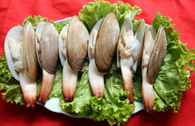 top 13 loại hải sản cô tô mang thương hiệu đặc trưng của vùng biển tiền tiêu