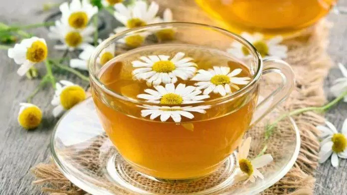 sức khỏe, dinh dưỡng, 5 loại trà tốt cho người bị cao huyết áp và lưu ý khi sử dụng