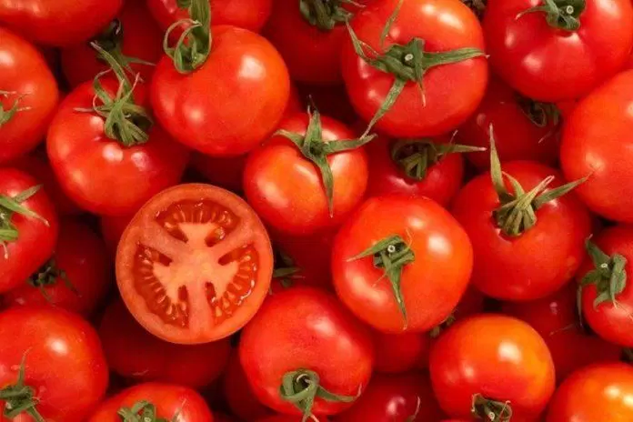 sức khỏe, dinh dưỡng, ăn cà chua cần lưu ý những điều này để tránh gây hại cho sức khỏe của bạn