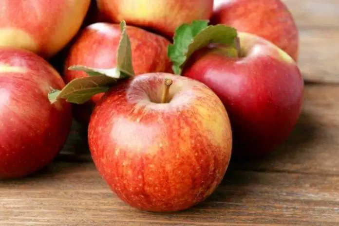 sức khỏe, dinh dưỡng, tại sao bạn nên ăn táo mỗi ngày? công dụng tuyệt vời của táo có thể bạn chưa biết