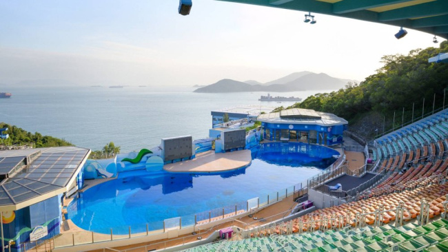 Ocean Park Hồng Kông: Điểm Vui Chơi Lý Tưởng Cho Cả Gia Đình, Hồng Kông, HỒNG KÔNG & MA CAO